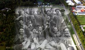 Jak je vidí ptáci III (7)