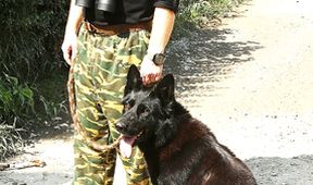 Přístav (11)