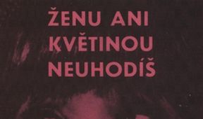 Ženu ani květinou neuhodíš