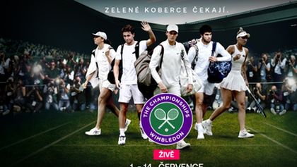 Tenis