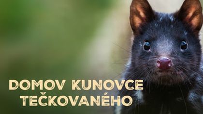 Domov kunovce tečkovaného