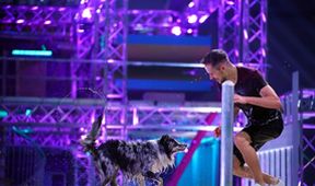 Top Dog Germany - Der beste Hund Deutschlands
