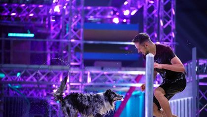 Top Dog Germany - Der beste Hund Deutschlands
