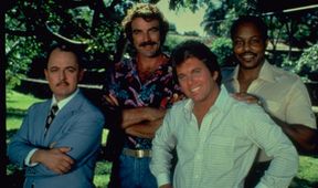 Magnum VI (12/20)