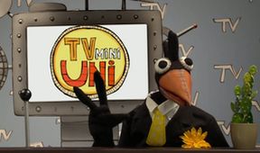 TvMiniUni