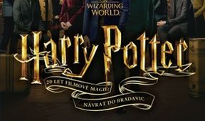 Harry Potter 20 let filmové magie: Návrat do Bradavic