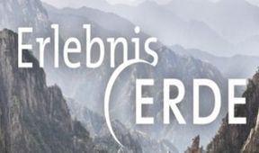 Estonská říše losů