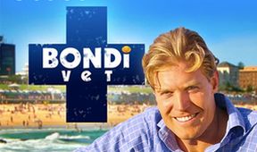 Veterinář z Bondi Beach XI (5)