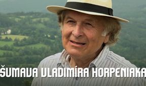 Šumava Vladimíra Horpeniaka