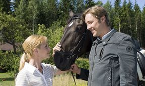 Inga Lindström: Dědic z Granlundy
