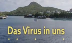 Virus v nás