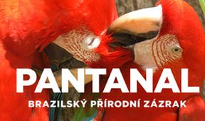 Pantanal - brazilský přírodní zázrak