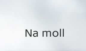 Na moll