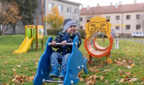 Plné hnízdo v Olomouckém kraji 2