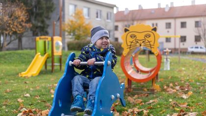 Plné hnízdo v Olomouckém kraji 2