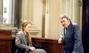 Kramerová versus Kramer
