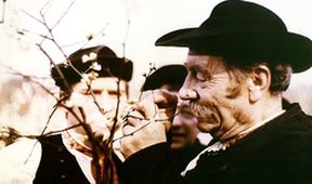 Červené víno