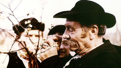 Červené víno