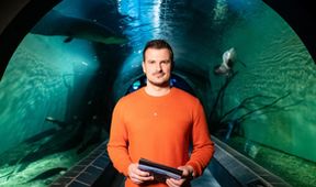 Vzbura oceánov