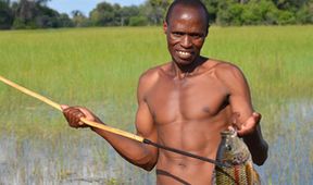 Krajiny sezonních zázraků: Okavango