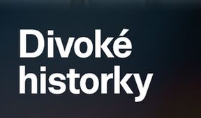 Divoké historky