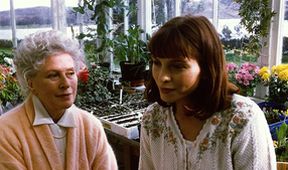 Rosamunde Pilcher (81/152)