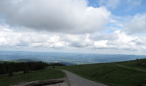 Divočina bez hranic (5)
