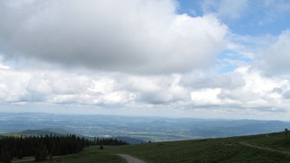 Divočina bez hranic (5)