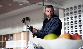 Ray Donovan VI (2)