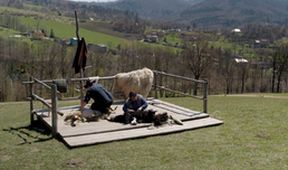 Co naše babičky uměly a na co my jsme zapomněli