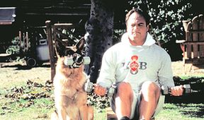 K-9 II: Můj přítel se studeným čumákem
