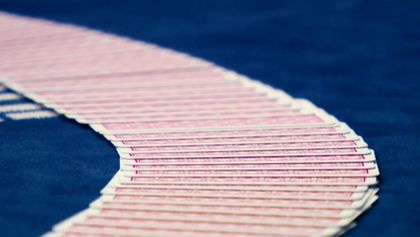 Sharkbay Main Event, Poker