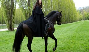 Versailles II (8)