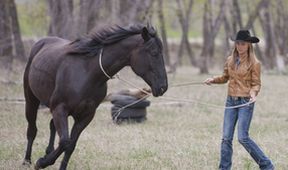 Ranč Heartland II (2/18)
