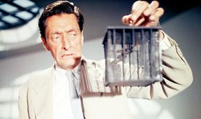 Dr. No