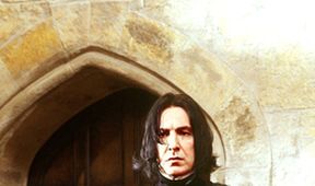 Harry Potter a Kámen mudrců