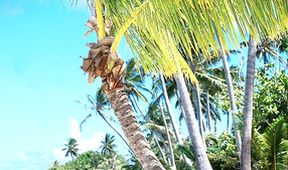 Loď snů: Tahiti