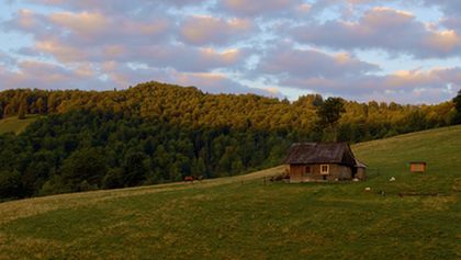 Goralové: Život v Karpatech