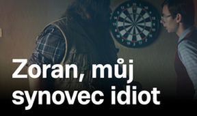 Zoran, můj synovec idiot