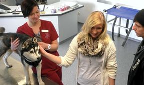 Hautnah: Die Tierklinik