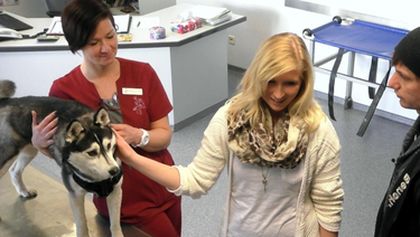 Hautnah: Die Tierklinik