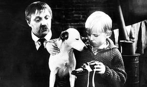 Ulička v ráji