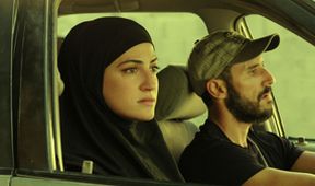 Fauda (7/12)