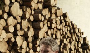 Wallander II
