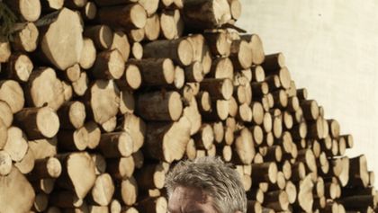 Wallander II