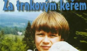 Za trnkovým keřem