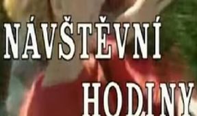 Návštěvní hodiny