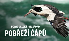 Portugalský jihozápad - pobřeží čápů