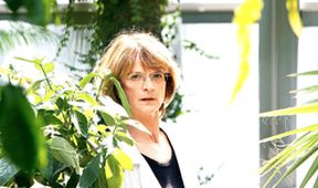 Ztracená brána (1/3)