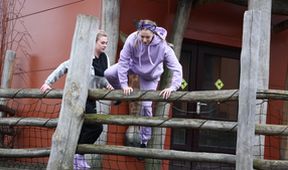 ZOO (192)